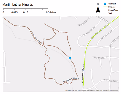 Dr. Martin Luther King Jr. Park Off Leash Area photo 1